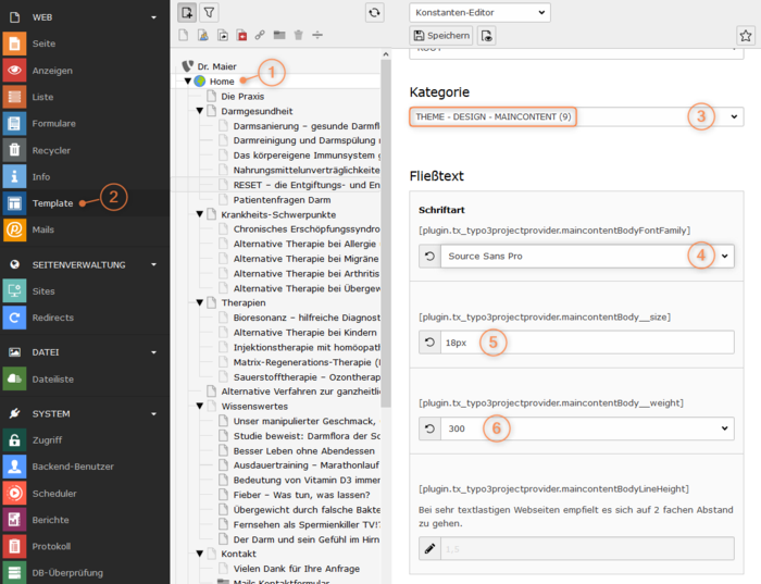 Erscheinungsbild des Fließtextes anpassen