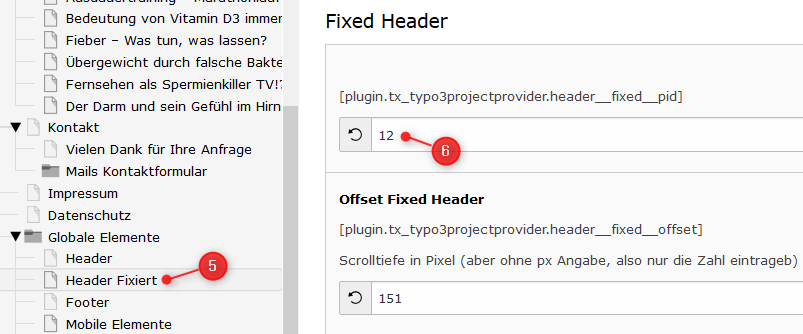 Wie man einen Header einbindet (Schritt 5-6)
